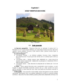 Zona agroturistică Bucovina - Pagina 3