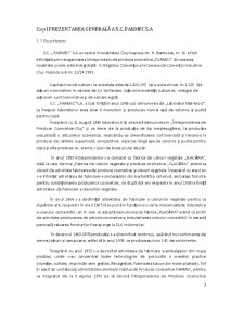 Aspecte teoretice și practice privind organizarea contabilității manageriale la SC Farmec SA Cluj-Napoca - Pagina 3