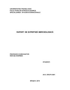 Raport de Expertiză Merceologică - Pagina 1