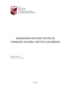 Organizarea gestiunii riscurilor financiare în cadrul instituțiilor bancare - Pagina 1