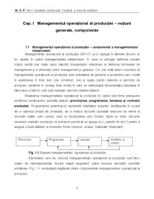 Managementul operațional al producției - Pagina 3