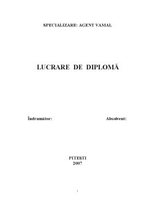 Analiza Diagnostic a Sistemului Vamal din România și a Managementului Acestuia la Nivelul Unitaților Vamale - Pagina 4
