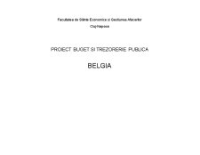 Analiza Buget Belgia - Pagina 1