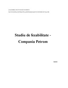 Studiu Fezabilitate Petrom - Pagina 1
