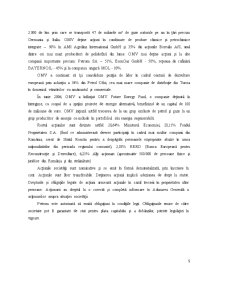Studiu Fezabilitate Petrom - Pagina 5