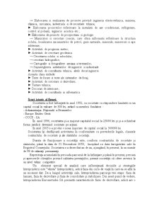 Proiect metodologii manageriale - Arcadis Eurometudes SA - Pagina 3