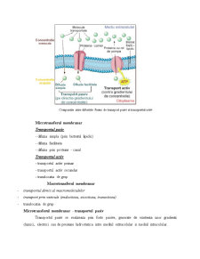 Structura celulelor eucariote - fenomene de transfer intra și extracelulare - Pagina 4