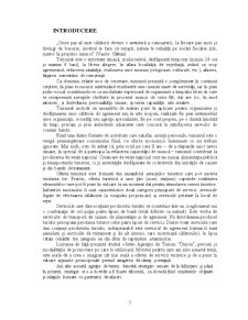 Studiul ofertei unei firme de turism - Agenția Unirea Iași - Pagina 5