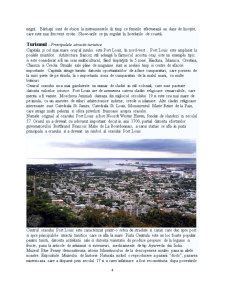 Studiu de caz - Republica Mauritius - Pagina 4