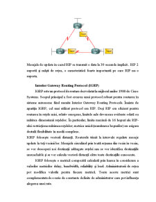 Analiza Protocoalelor de Rutare - Pagina 4