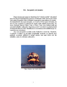 Accidente Nucleare Majore - Pagina 5