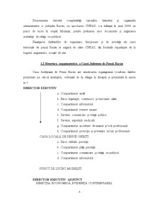 Studiu aplicativ privind eficientizarea activității la Casa Județeană de Pensii Bacău - Pagina 4