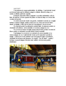Teoria și didactica sportului adaptat - sporturi de echipă pentru persoanele cu handicap - Pagina 4