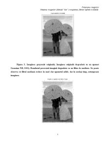 Prelucrarea Imaginilor Blurring - Pagina 5