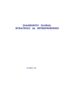 Diagnostic global strategic al întreprinderii - Pagina 1