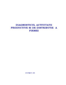 Diagnosticul activității productive și de distribuție a firmei - Pagina 1