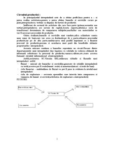 Contabilitatea Firmei SC Virexim SRL - Pagina 3