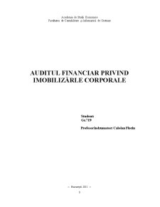 Auditul Financiar Privind Imobilizările Corporale - Pagina 1