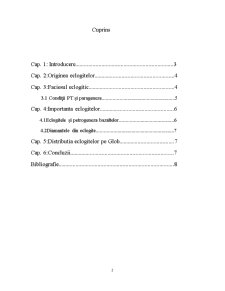 Eclogite - Pagina 2