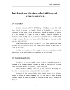 Monografie Proces Bugetar Public la SC Romcon Invest SRL - Pagina 2
