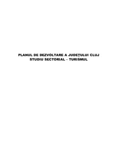 Plan de dezvoltare a județului Cluj - Pagina 1