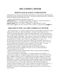 Mecanismul Motor - Pagina 1