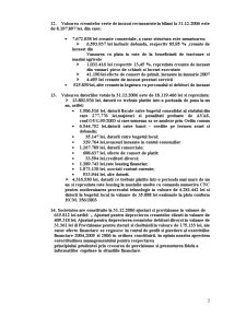 Raport Audit Financiar la SC Turbo SA - Pagina 4