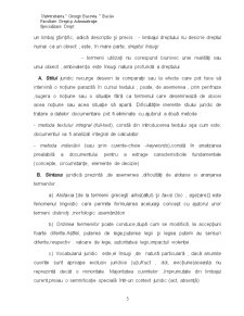 Informatică Juridică și Contractele Informatice - Pagina 5