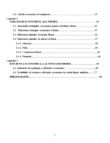 Amplasarea optimă a agenților economici - studiu de caz realizat la SC Matizol SA - Pagina 3