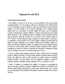 Merceologie nealimentară - săpunul de rufe Rex - Pagina 3