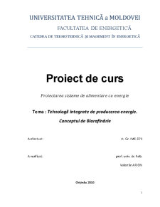 Tehnologii Integrate de Producerea Energie - Conceptul de Biorafinarie - Pagina 1