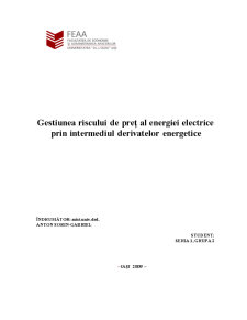 Riscul de preț al energiei electrice - Pagina 1