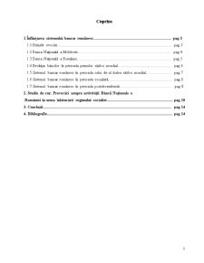 Coordonatele sistemului bancar românesc - Pagina 2