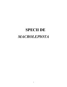 Specii de Macrolepiota - Pagina 1
