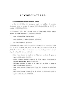 Poziția financiară a unei întreprinderi - SC Cosmilact SRL - Pagina 2