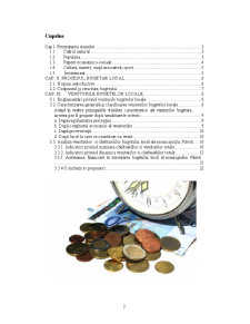 Analiza bugetului local Pitești - Pagina 2