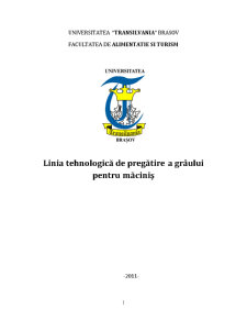 Linia Tehnologică de Pregătire a Grâului pentru Măciniș - Pagina 1