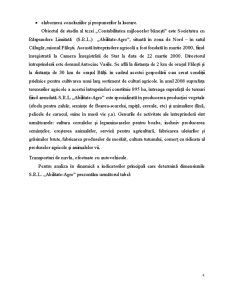 Contabilitatea Mijloacelor Bănești - Pagina 4