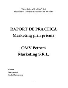 Raport de practică - OMV Petrom - Pagina 1