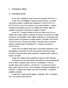 Raport de practică - OMV Petrom - Pagina 3