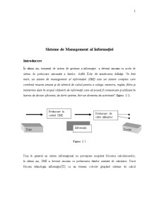 Sistemele de management ale informației - Pagina 1