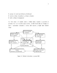 Sistemele de management ale informației - Pagina 3