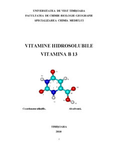 Vitamina B13 - Pagina 2