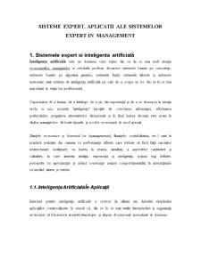 Sisteme Expert pentru Management - Pagina 1