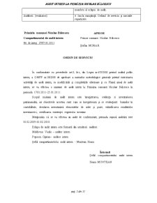 Control și audit intern în instituțiile publice - audit intern la Primăria Nicolae Bălcescu - Pagina 5
