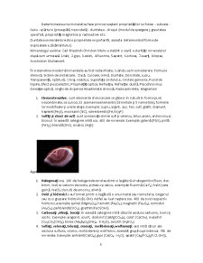 Minerale - luciul și transparență - Pagina 5