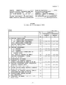 Organizarea contabilității cheltuielilor și veniturilor - studiu de caz - Pagina 1