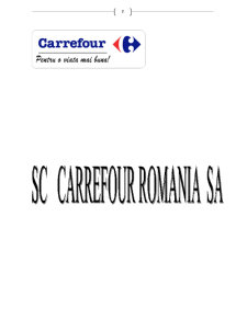 Proiect Management SC Carrefour SA - Pagina 2