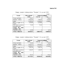 Analiza economico-financiară a Teraplast SA - Pagina 1