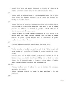 Analiza economico-financiară a Teraplast SA - Pagina 5